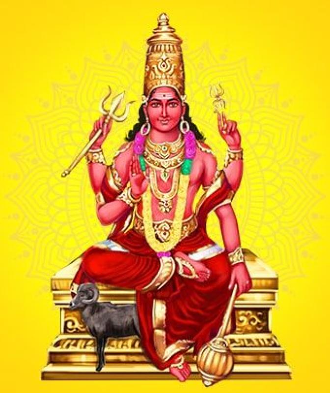 category image