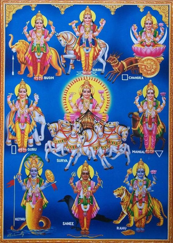 category image