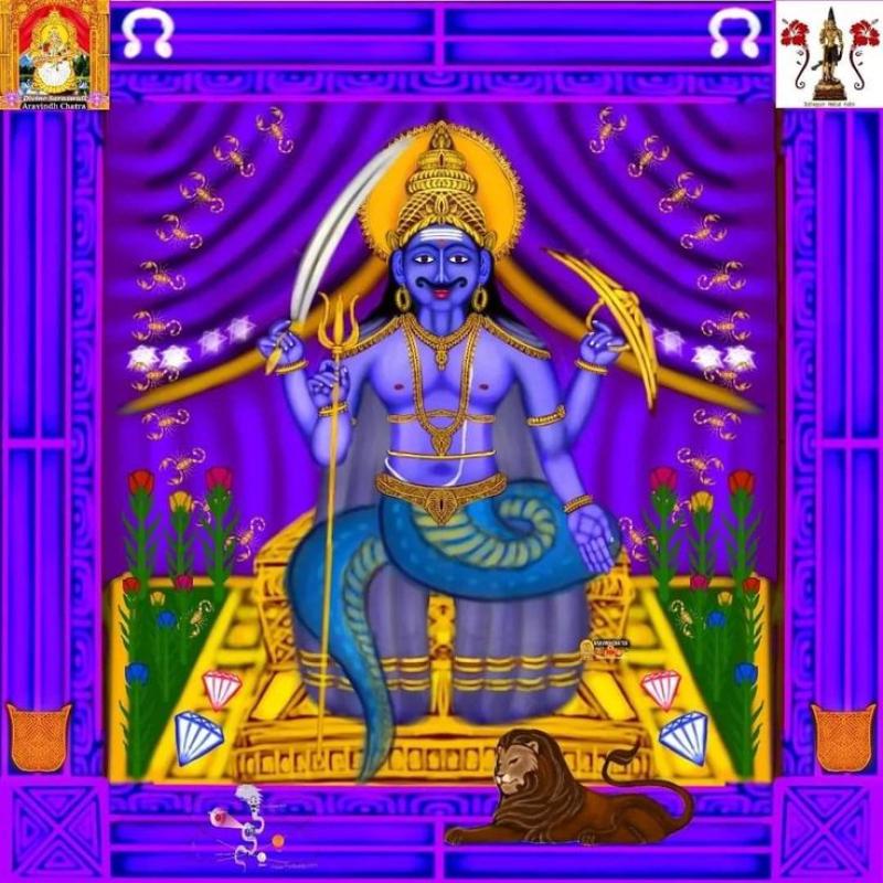 category image
